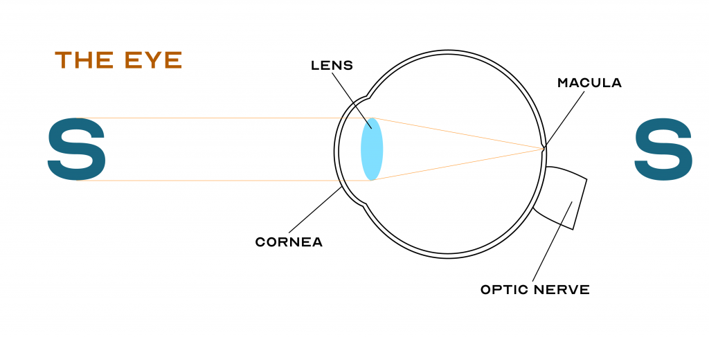 Cross section