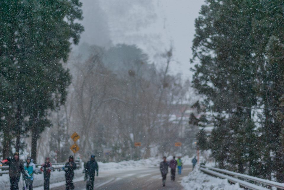 Snow falling in the foregroud