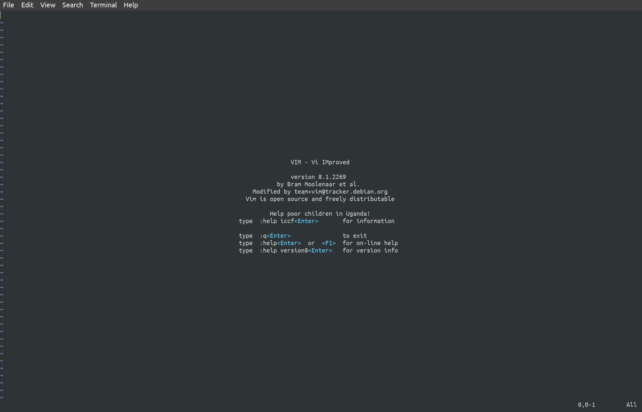 terminal with vim